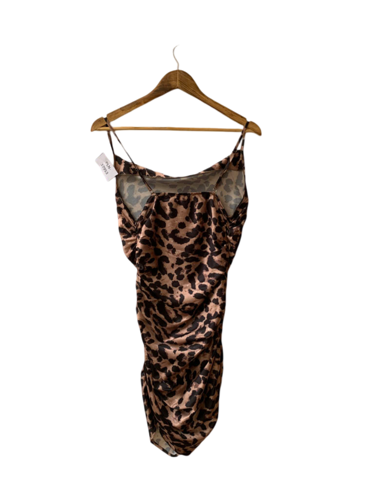 PLN-37953 ( Brand: BUCH )