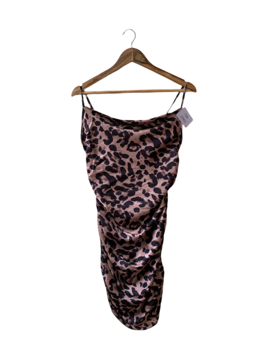 PLN-37953 ( Brand: BUCH )